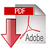 pdf download icon